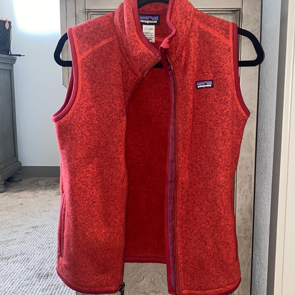 Patagonia vest